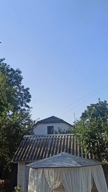 Реакция котов и собак на звук сирены 🤬Проклятая раша! Всё живое ненавидит вас! смотреть онлайн