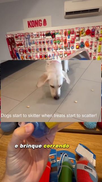 Review JW Robo Bone #dog #caes #pets #cachorro #brinquedos #petshop #unboxing #lumareimport смотреть онлайн