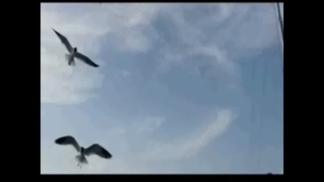 PILISHKIN Очаруешь не спеша.wmv смотреть онлайн