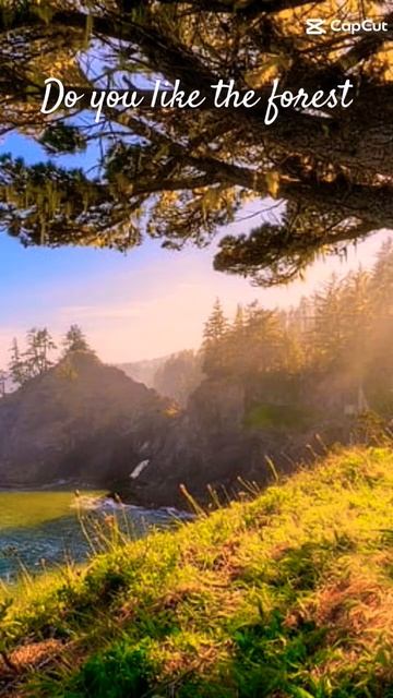 forest✨🦋 #like #subscribe #aesthetic #Beautiful смотреть онлайн