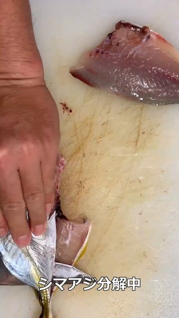 釣ってきた高級魚シマアジを捌いて食してみた【続きはコメント欄URLから】 смотреть онлайн