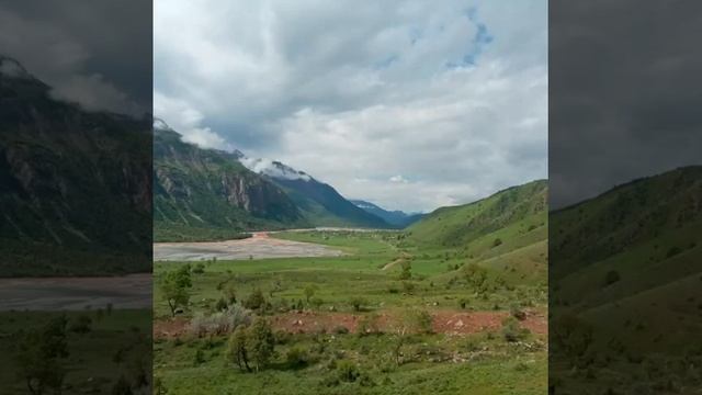 Д. Сабзихарф Нохяи Тавилдара.8,02,2021 смотреть онлайн
