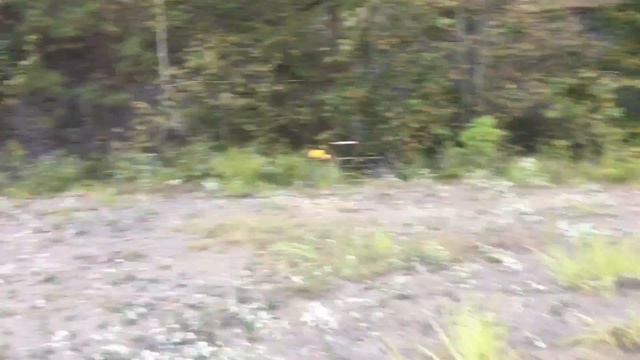 Sig Sauer P226 Elite Stainless Shooting Review смотреть онлайн