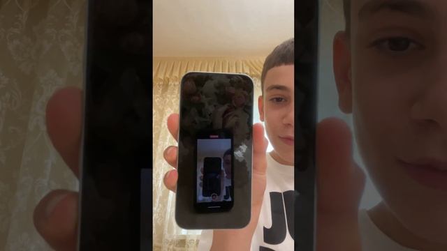 Животные в стихах