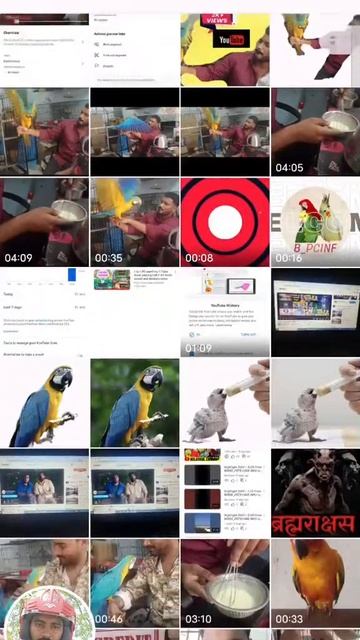 BIRDS_PETS CARE INFO is live! смотреть онлайн