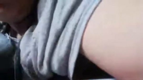 Милый попугай Жако лезет под футболку