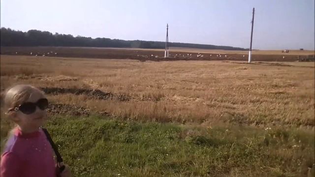 АИСТЫ НА ШАБАШКЕ/ СЕСТРИЧЕК И БРАТИКОВ НЕ ЖДИТЕ) смотреть онлайн