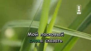 Ирина Аллегрова - Мой Ласковый И Нежный Зверь караоке
