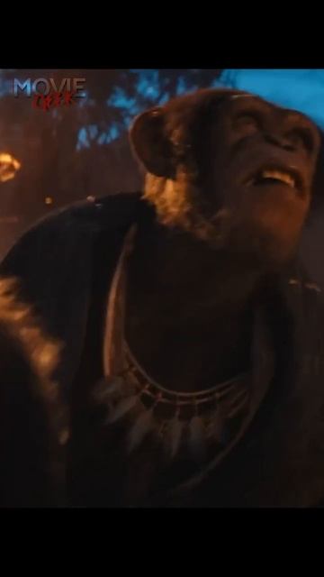 My thoughts on Kingdom Of The Planet Of The Apes смотреть онлайн