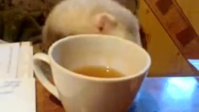 Чаепитие Скруджа. 24.09.09..mp4 смотреть онлайн