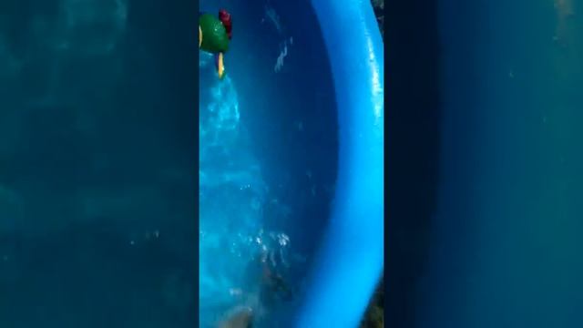Купаемс в бассейне смотреть онлайн