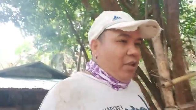 Ex-abroad+pag Spray Ng Insecticide Sa Palay+sinigang Na Tilapia Ala Master Kamote Blog #13