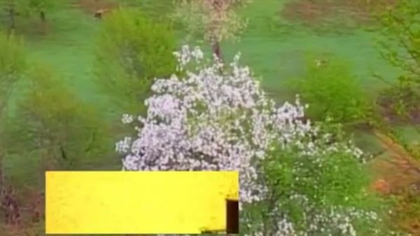 Gel, ey seher KARAOKE AZERBAYCAN AZERBAIJAN