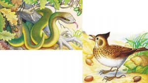 Сказки о животных. В. Бианки. Аудиосказки