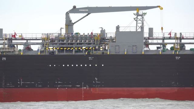 28 MINUTES OF RELAXING MARITIME SHIPPING AT MAASVLAKTE 2 ROTTERDAM - 4K SHIPSPOTTING 2024