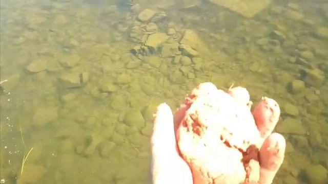 Кормим речных рыб смотреть онлайн