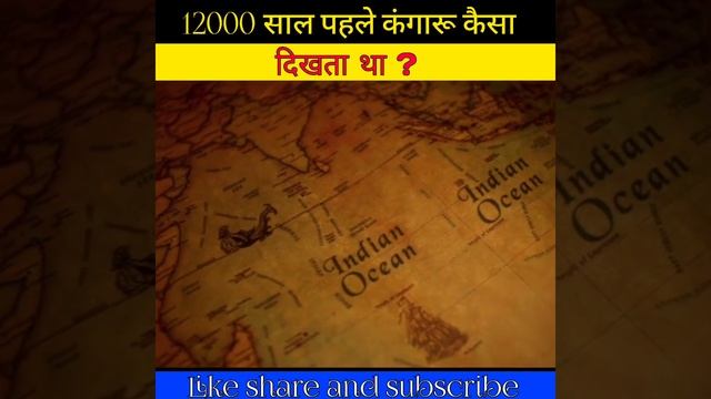 #shorts | 12000 साल पहले कंगारू का आकार कैसा था ? 12000 sal pahale kanggaroo ka aakaar kaisa tha ? смотреть онлайн
