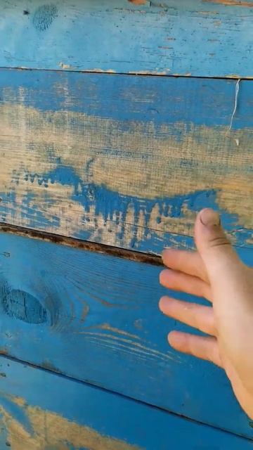 Переход пчёл в магазин смотреть онлайн