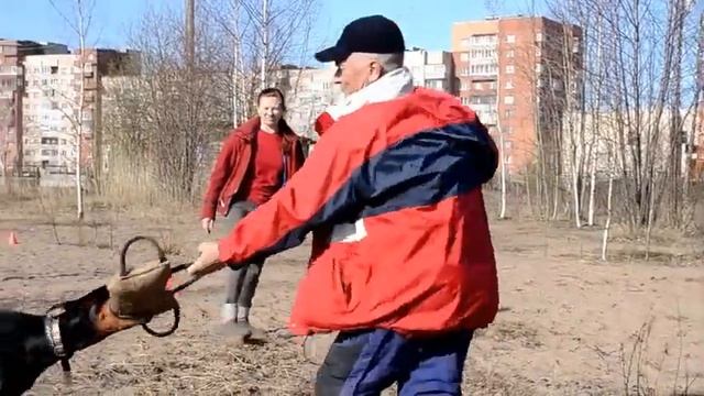 Обход укрытия смотреть онлайн