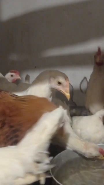 20 января 2023 г. смотреть онлайн