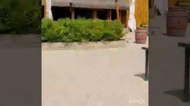 Park Albatros смотреть онлайн