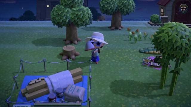 [Nintendo Switch] Animal Crossing New Horizons: Day#7 How to catch Tarantula смотреть онлайн
