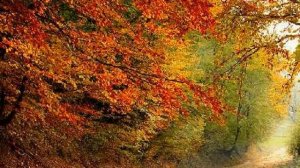 Даргинская акушинка