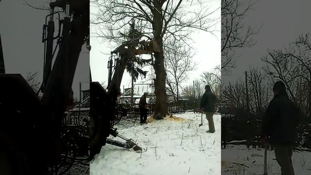 юмез 6 валяє дерево смотреть онлайн