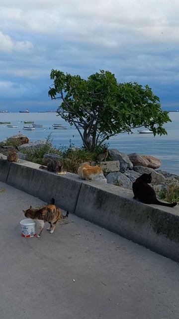 After Bostancı, we visited Atalar beach and close friends 18 смотреть онлайн