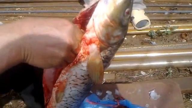 Posle ribalki piknik смотреть онлайн