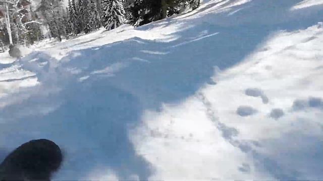 Жопслей с горы Медвежья // Лужба