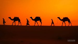 Караван идёт по пустыне под расслабляющую восточную музыку