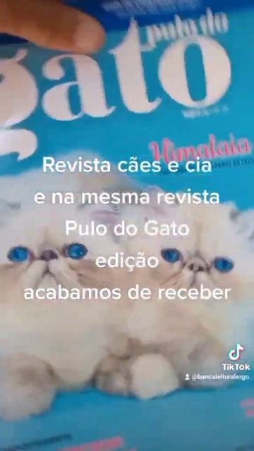 WhatsApp Video 2023 02 12 at 19 36 03 смотреть онлайн