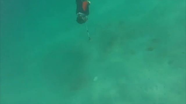 ДЕНЬ ОЧИСТКИ ВОДОЕМОВ смотреть онлайн