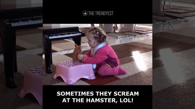 😂 Funny Talking Hamster - The Trendyest смотреть онлайн