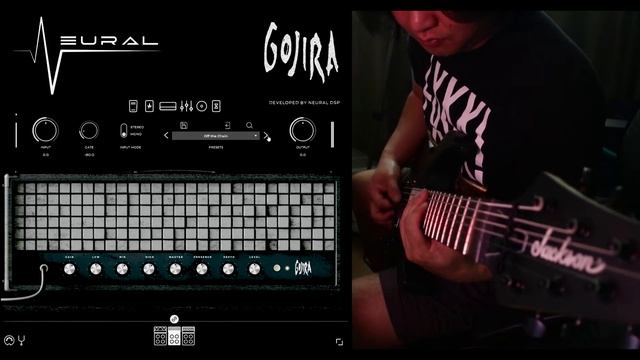 NEURAL DSP ARCHETYPE GOJIRA (PREVIEW) смотреть онлайн
