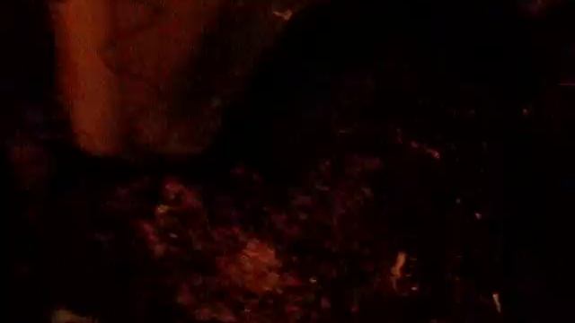 Ночью в болоте. смотреть онлайн