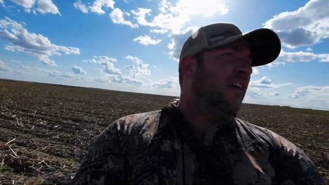 Coyote Hunting in Kansas Part 2! They Love the Rabbit! смотреть онлайн