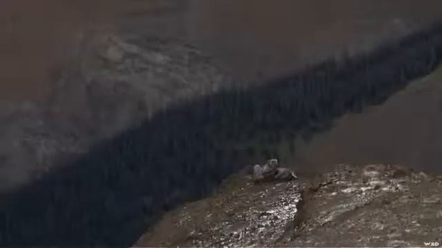 Long Range Pursuit смотреть онлайн