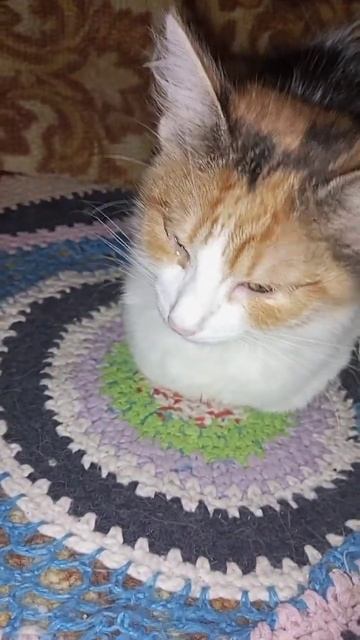 Проклятый вирус🤬 смотреть онлайн