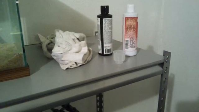 My startup cichlid breeding project смотреть онлайн