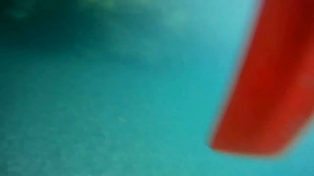 Rafting Tara River Montenegro смотреть онлайн