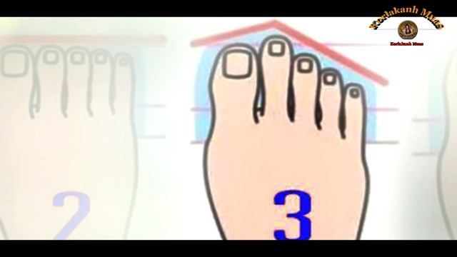 4 hom ko taw qhia tau tib neeg tus yam ntxwv 22/2/2019 смотреть онлайн