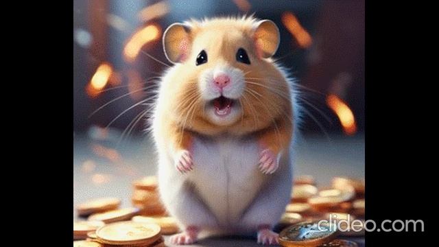 В HUMSTER COMBAT ИГРАЮТ УЖЕ 240 МИЛЛИОНОВ!!!ЕСЛИ ТЫ ЕЩЕ НЕ ХОМЯК, ССЫЛКА НИЖЕ В КОММЕНТАРИЯХ!!! смотреть онлайн