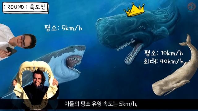 리비아탄vs메갈로돈｜최강의 이빨고래 리비아탄은 메갈로돈을 이길 수 있었을까? смотреть онлайн
