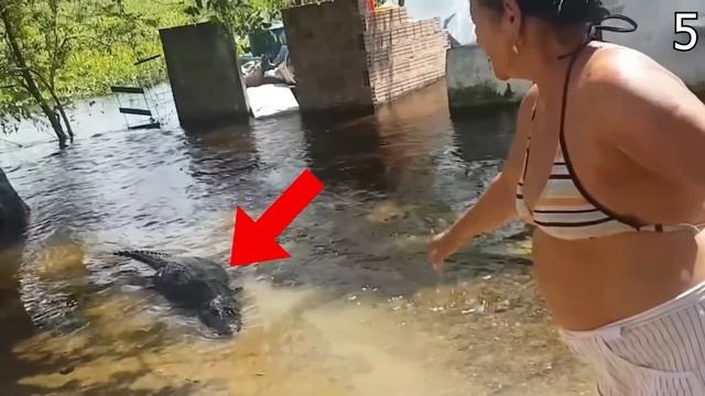 Амазонкада Дахшатли Анаконда Хужими Тасвирга Тушиб Колди смотреть онлайн