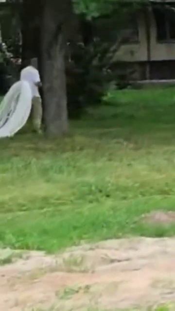 Павлин смотреть онлайн