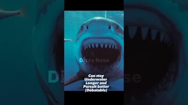 Megalodon vs Livyatan IRL #paleontology #megalodon #livyatan #shorts смотреть онлайн