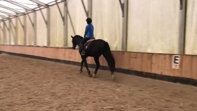 Ramzes 23/09 рысь смотреть онлайн