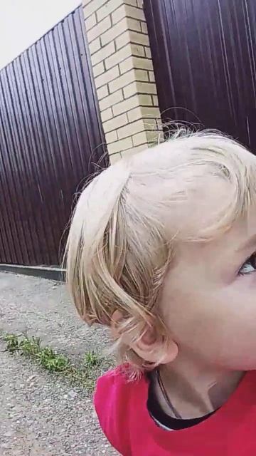 мо двоюродный брат лев смотреть онлайн